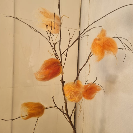 Orange is the new beautiful!