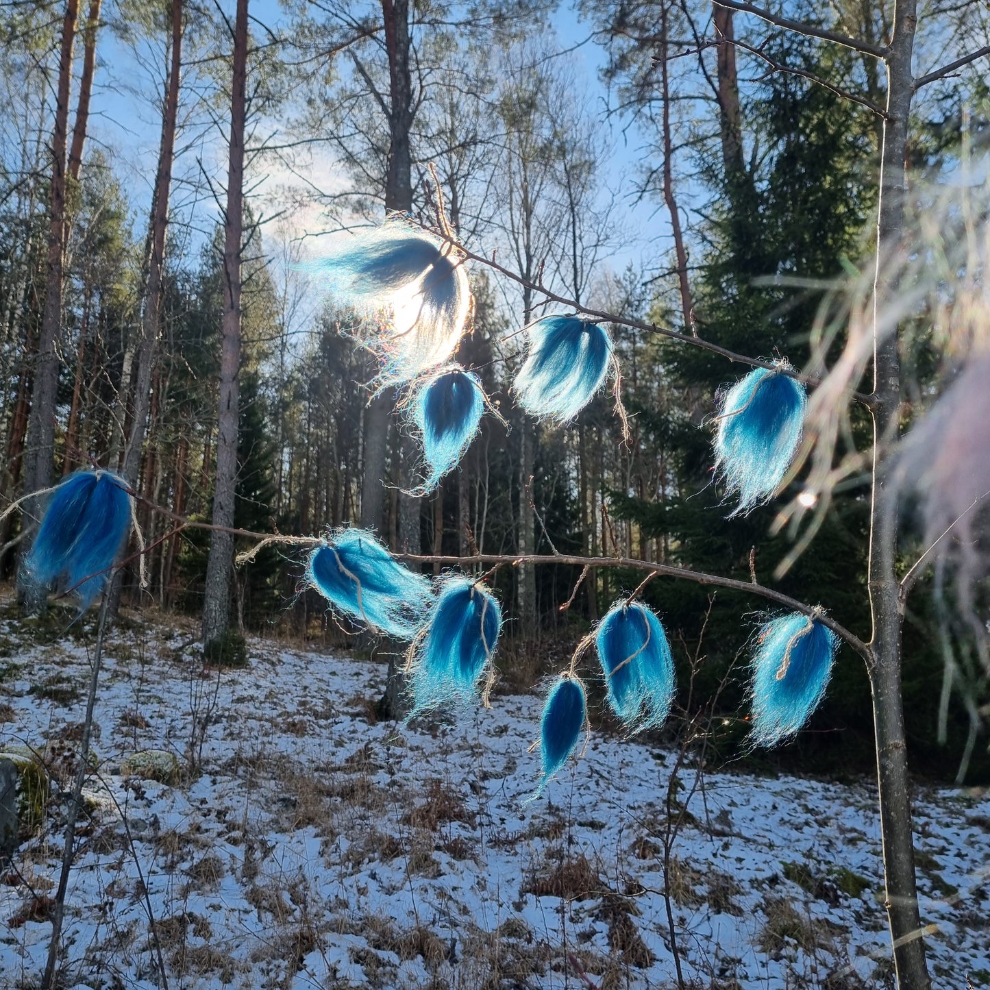 Påfågel