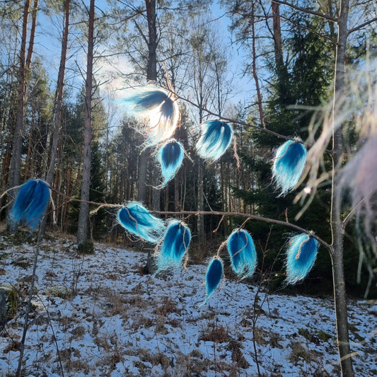 Påfågel