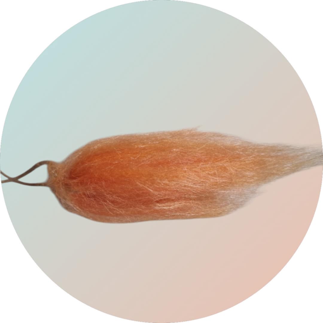 Orange is the new beautiful!