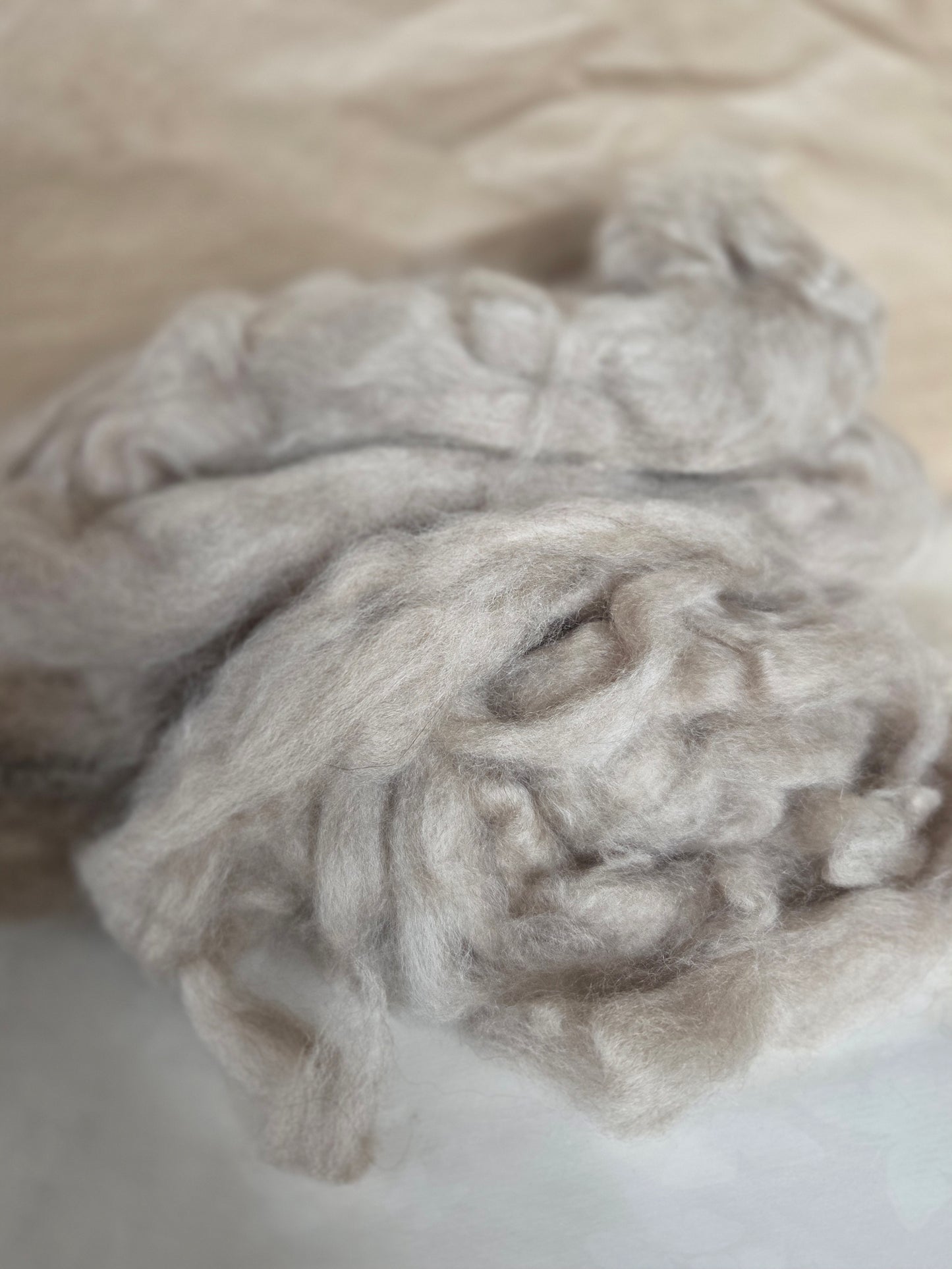 PAKISTAN: Cashmere